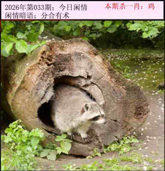 033期今日闲情[图]